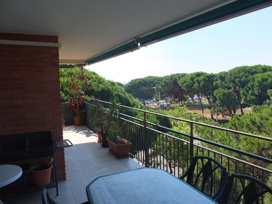 Apartment In Front Of The *